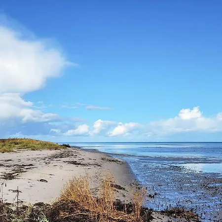 7 Person In * Hadsund