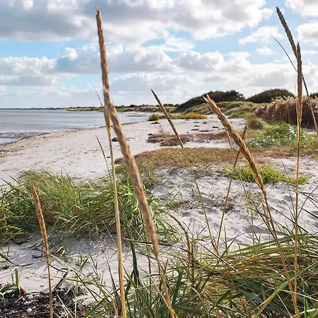 7 Person In Ferienhaus